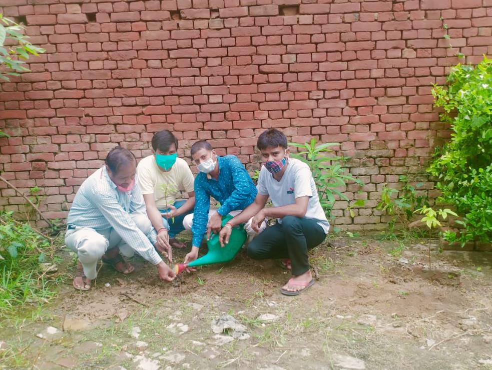 वृक्षारोपण