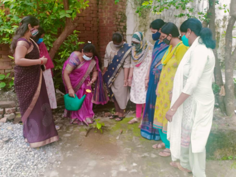 वृक्षारोपण