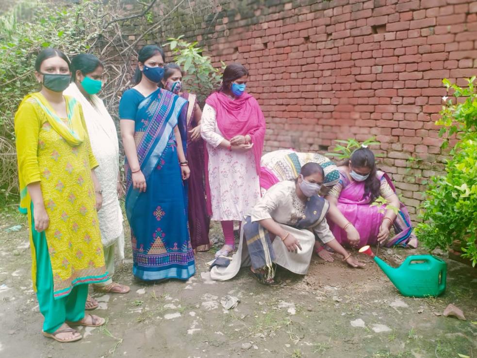 वृक्षारोपण