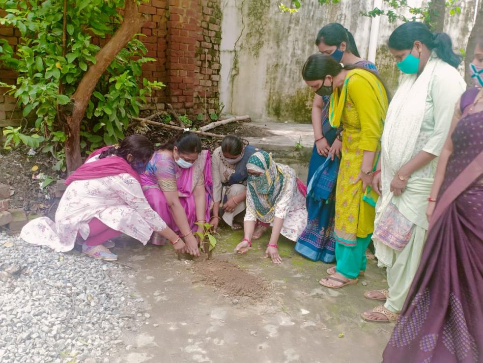 वृक्षारोपण