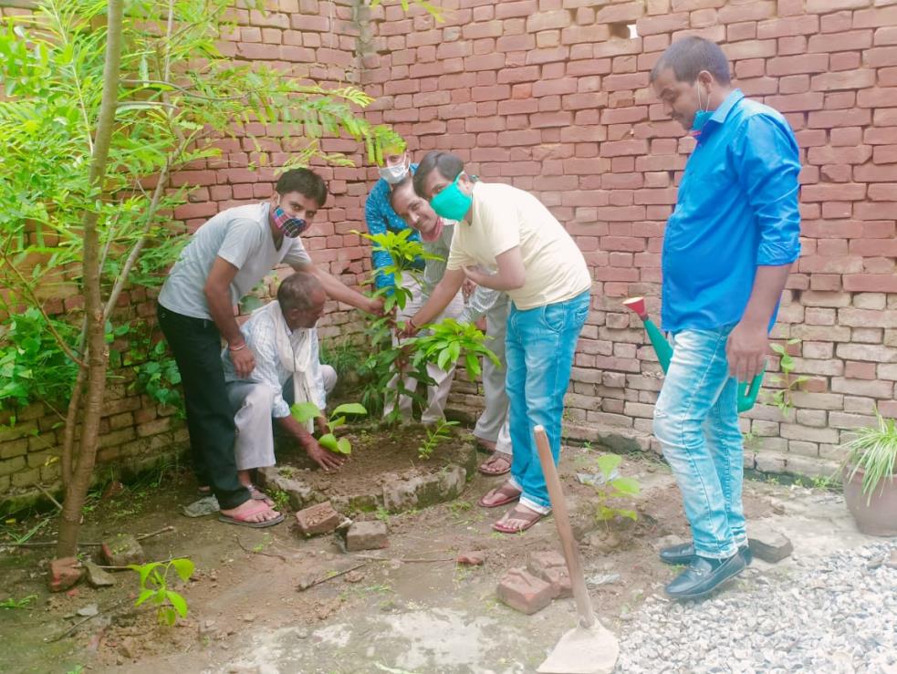 वृक्षारोपण