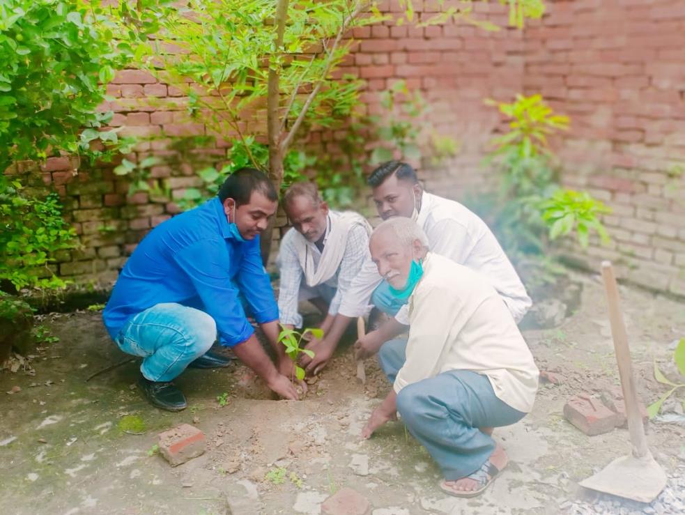 वृक्षारोपण