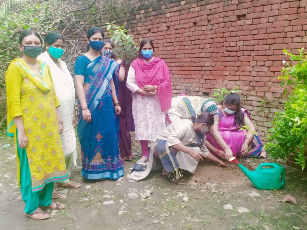 वृक्षारोपण