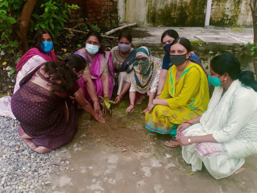 वृक्षारोपण