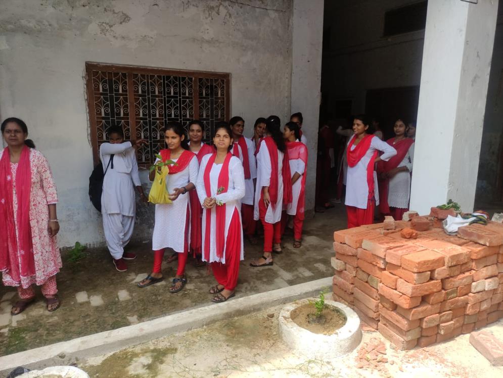 वृक्षारोपण